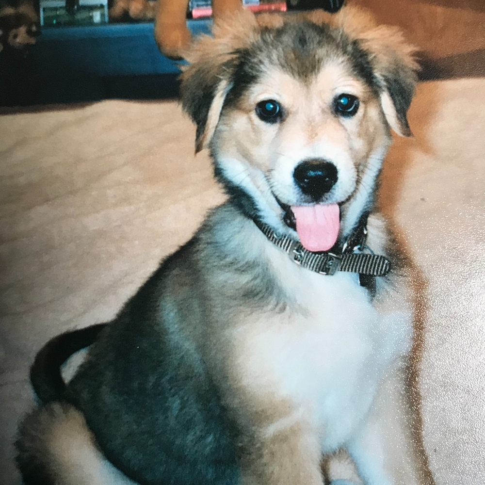 Meet your Posher, Lisa